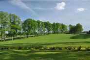 Manor's surroundings