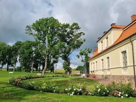Dvaro aplinka